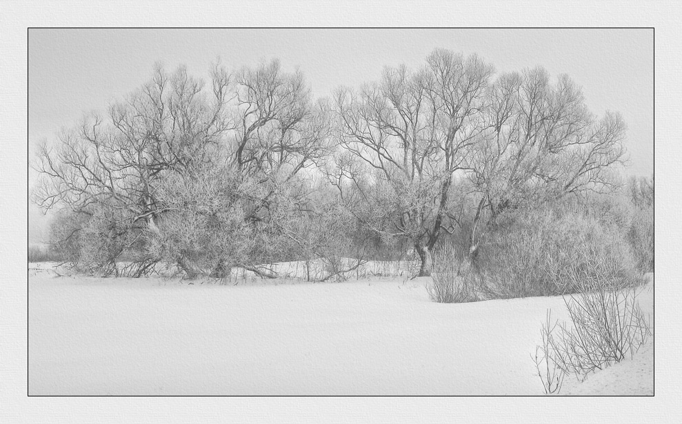 фото "Белая палитра" метки: пейзаж, зима, лес