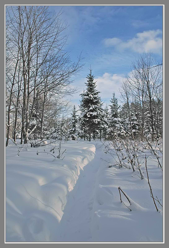 фото "Середина января..." метки: пейзаж, зима