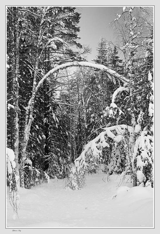photo "***" tags: landscape, winter