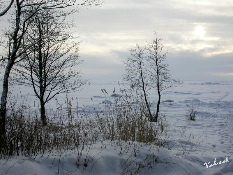 photo "депрессия" tags: landscape, winter