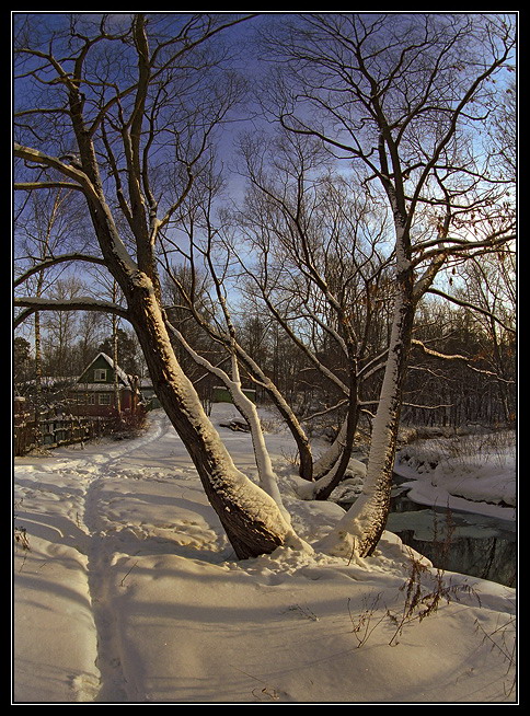 photo "Winter fairy tale" tags: landscape, forest, winter