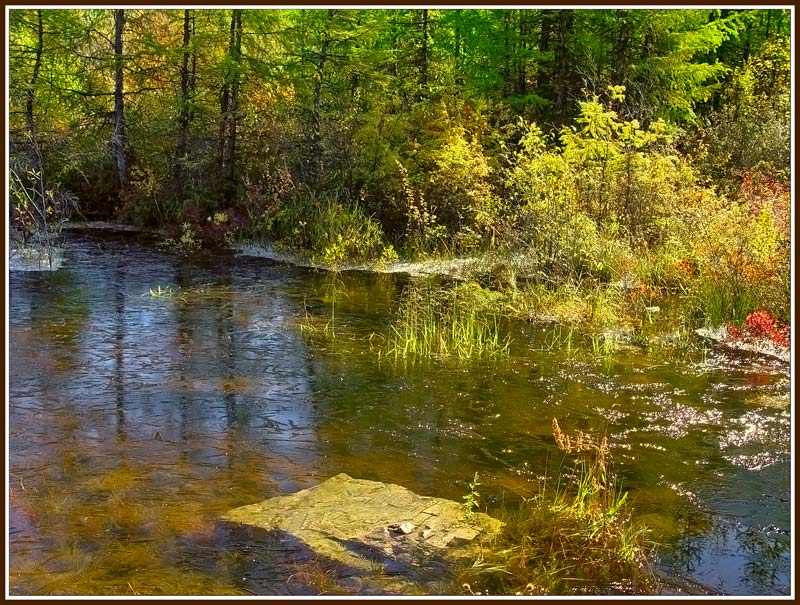 photo "The frost" tags: landscape, autumn