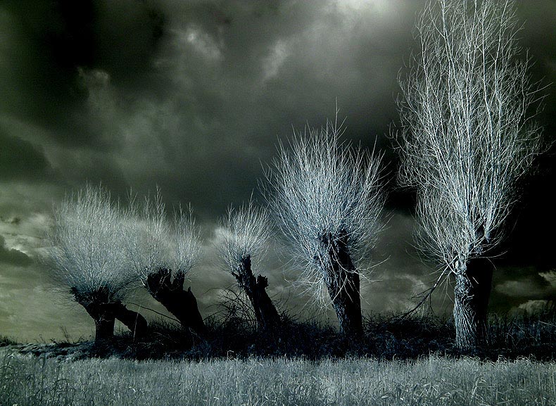 photo "ZX 16" tags: landscape, 