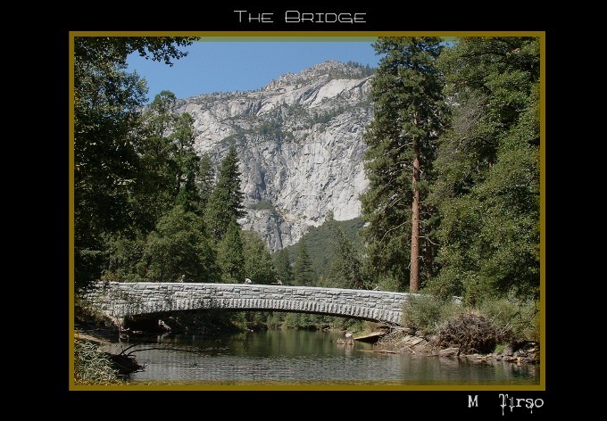 photo "the bridge" tags: landscape, forest
