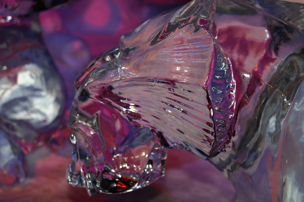 photo "Ice World 2007" tags: , 