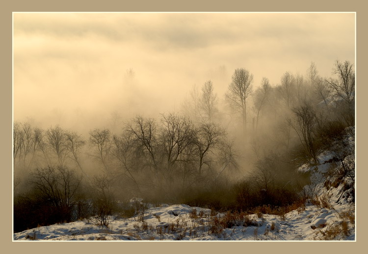 фото "Таинственный лес" метки: пейзаж, зима