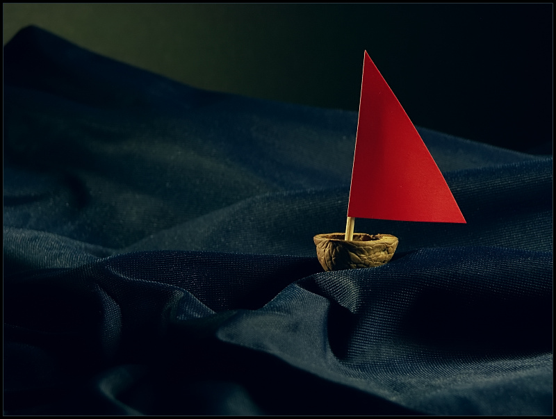 photo "Little sailor" tags: macro and close-up, still life, 