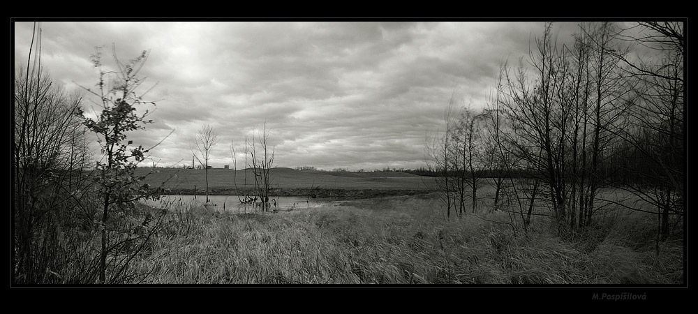 photo "My sade landscape 2" tags: panoramic, black&white, 