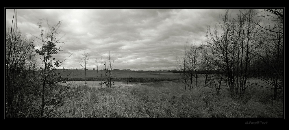 фото "My sade landscape 2" метки: панорама, черно-белые, 