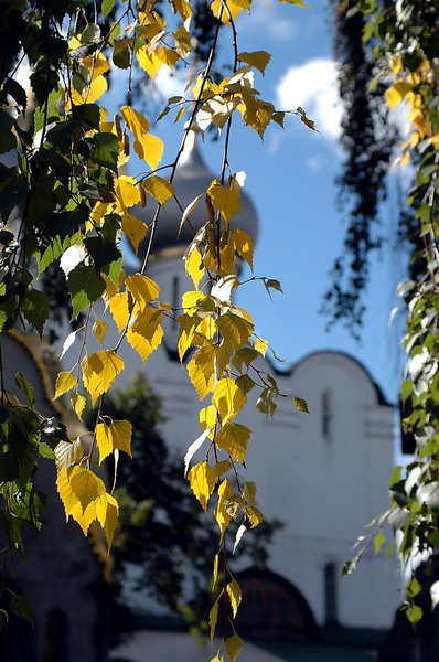 photo "***" tags: landscape, autumn