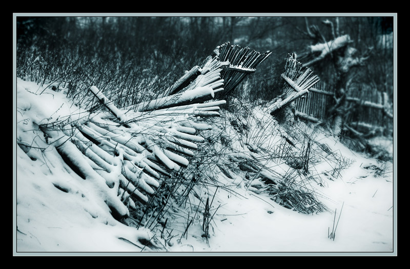 photo "Winter breaks all barriers..." tags: black&white, landscape, winter