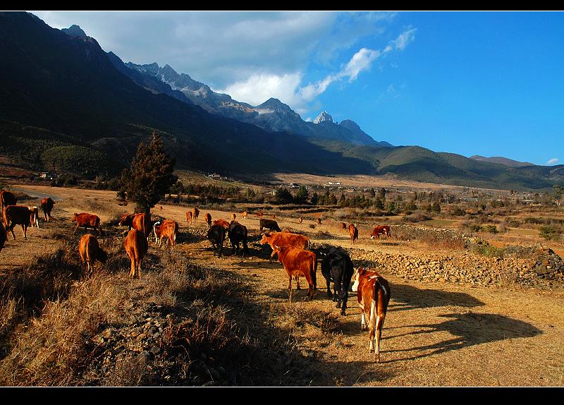 photo "Jokul Side" tags: landscape, travel, Asia, mountains