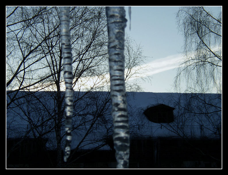 photo "Cool twilight" tags: landscape, night, winter