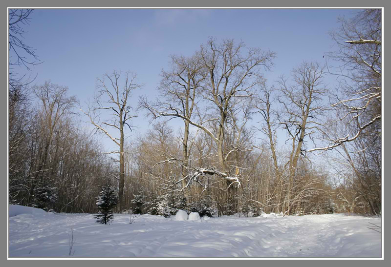 фото "Когда зима в радость..." метки: пейзаж, зима