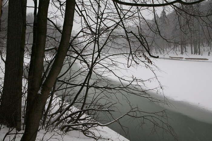 фото "Снег, снег, снег..." метки: пейзаж, зима