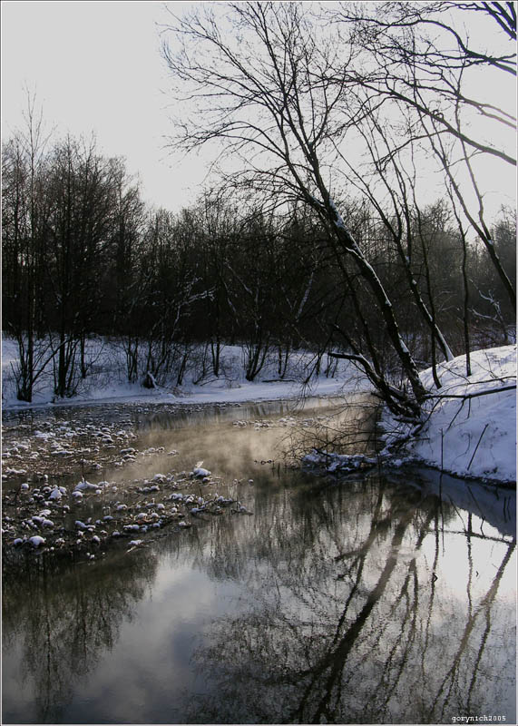 фото "Ботанический сад, зима2005" метки: пейзаж, вода
