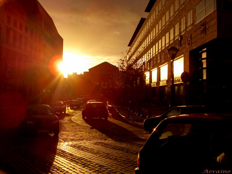 фото "Last sun." метки: пейзаж, натюрморт, зима