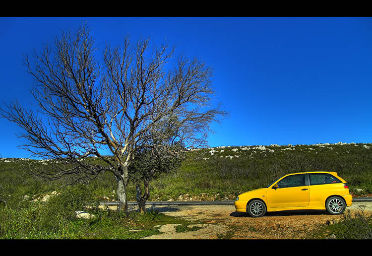 фото "Seat Ibiza" метки: разное, 