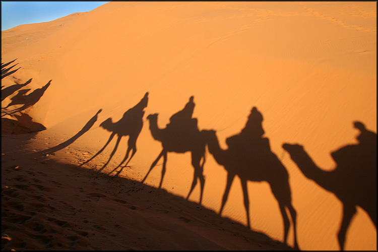 фото "Desert shadows" метки: путешествия, пейзаж, Африка