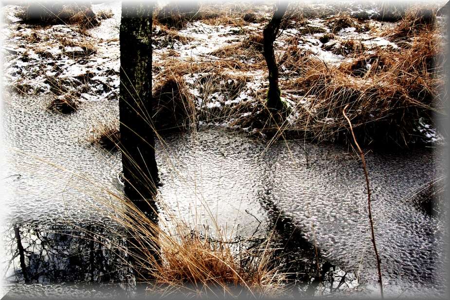 photo "Winte3r Time in Nothern Germany" tags: landscape, winter