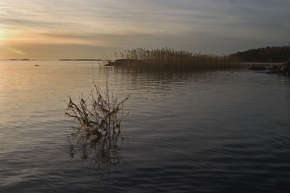 photo "January in Lauttasaari" tags: landscape, water, winter