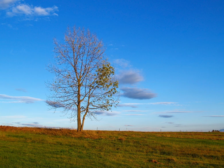 photo "***" tags: landscape, nature, 