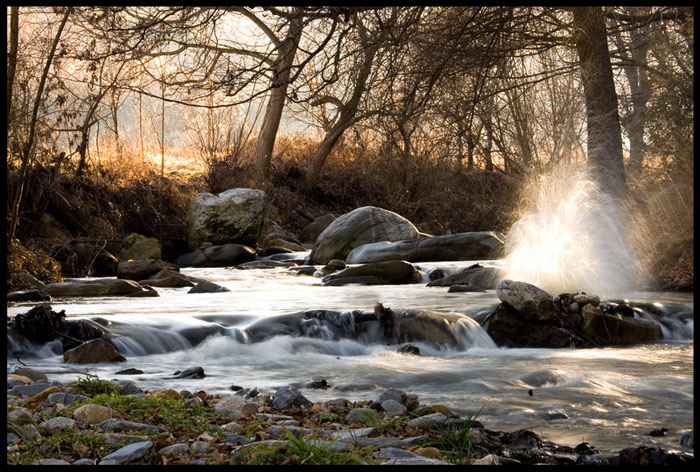 photo "***" tags: landscape, forest