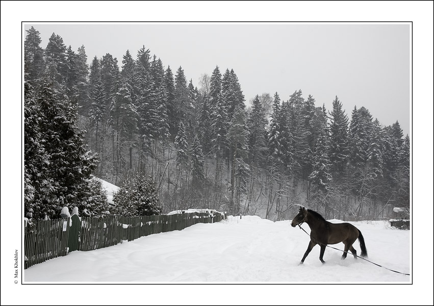 фото "Зимняя (9)..." метки: пейзаж, зима