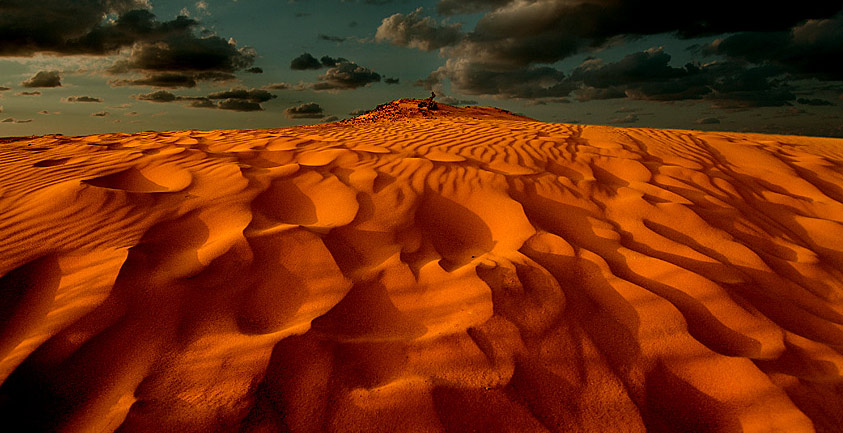 фото "Dunes" метки: пейзаж, природа, лето