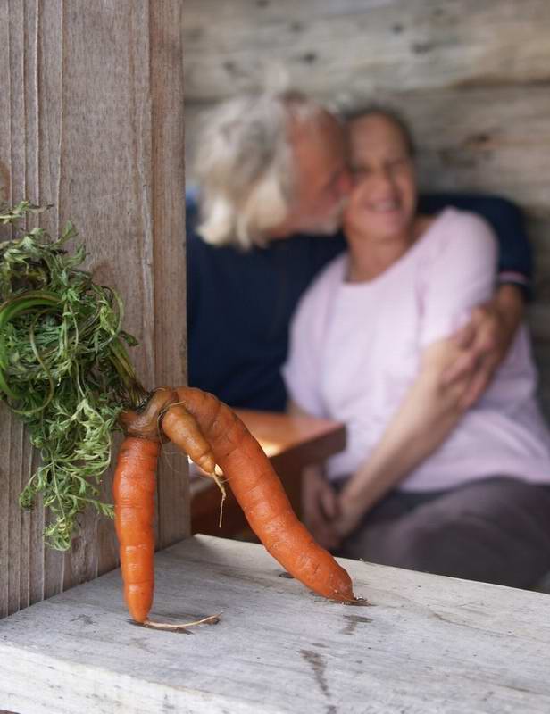 фото "Любовь-морковь" метки: жанр, 