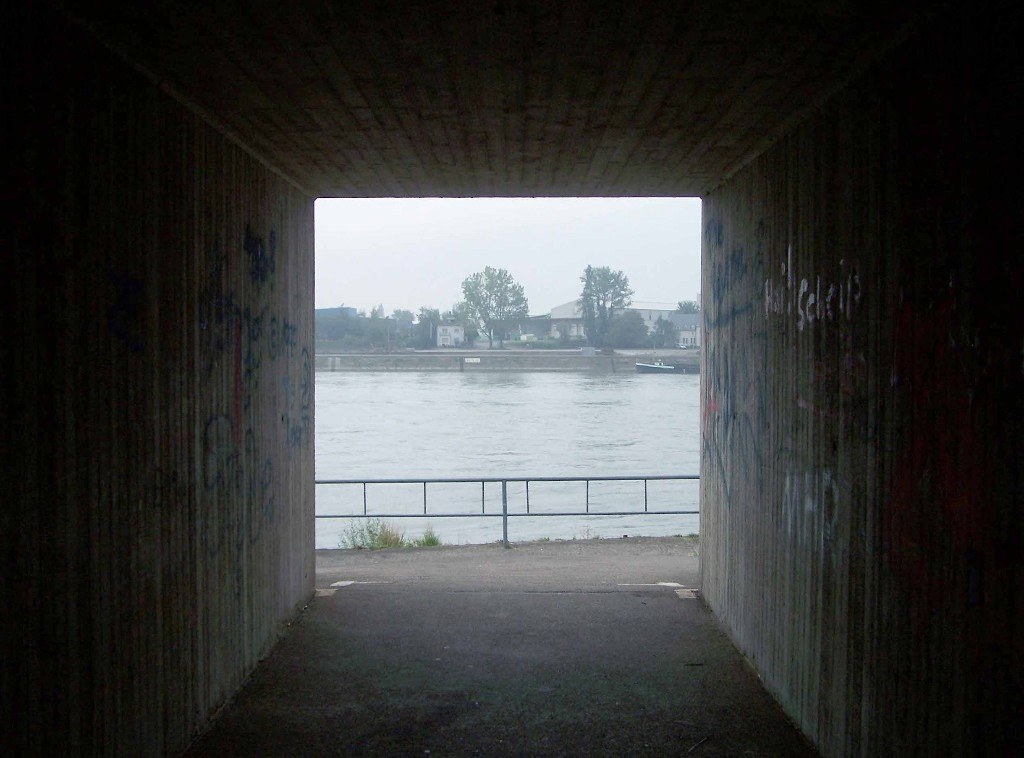 фото "Quadratisch, praktisch... Rhein" метки: пейзаж, путешествия, Европа, вода