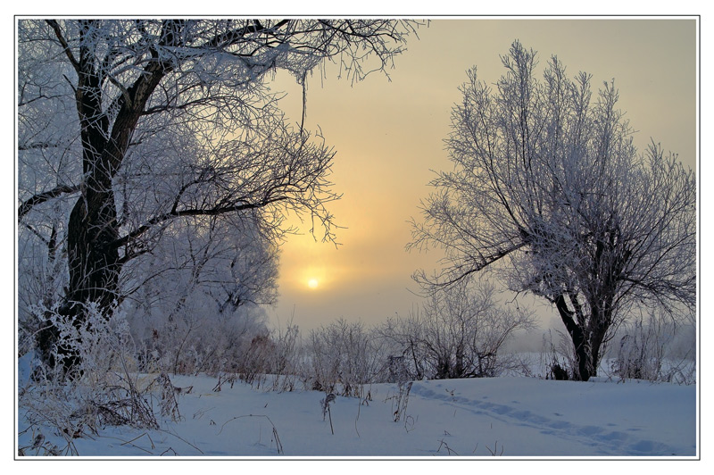 photo "Welcome. February!" tags: landscape, sunset, winter