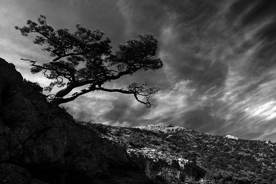 photo "Learning to fly" tags: landscape, travel, Europe