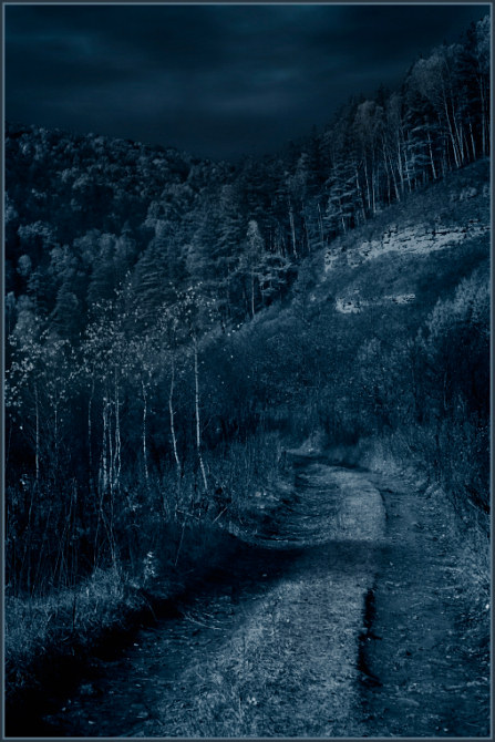 photo "Charokhaysky (in Russian to conformably word "charms") paths" tags: landscape, forest, night