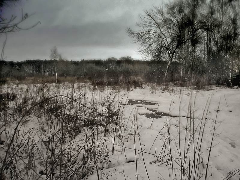 фото "зимнее" метки: , 