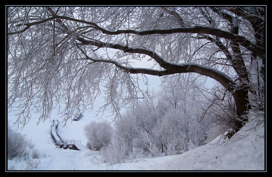 photo "Cool graphics" tags: landscape, winter