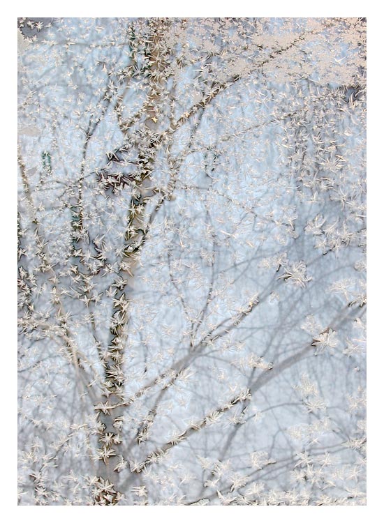 photo "Frost" tags: landscape, nature, 