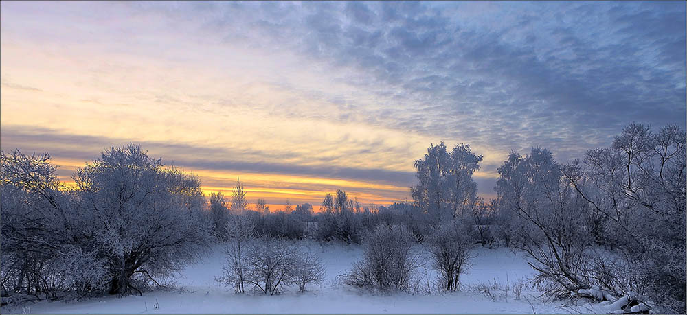 фото "*" метки: пейзаж, зима