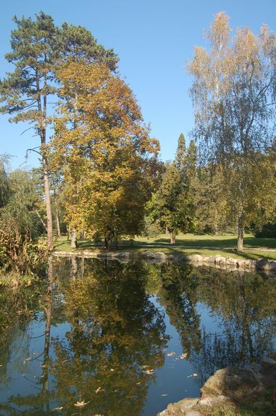 фото "fall in Askania" метки: пейзаж, 