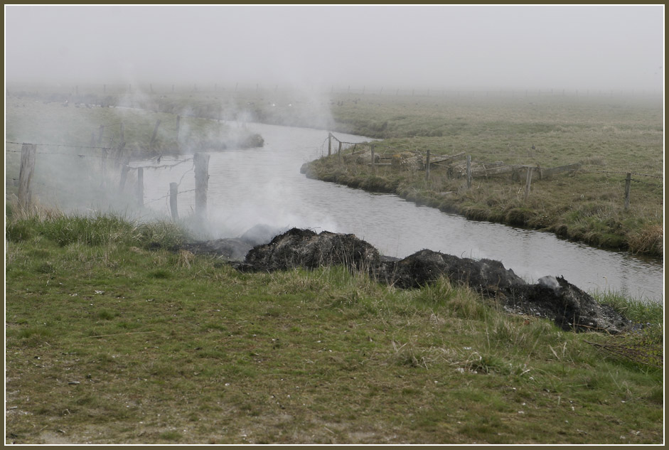 фото "Foggy" метки: пейзаж, натюрморт, вода