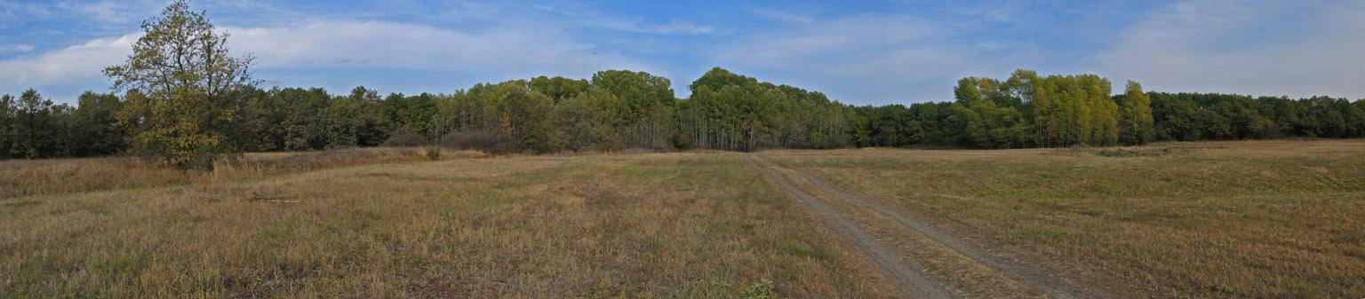 photo "Понорама волго-ахтубинской поймы" tags: landscape, nature, 