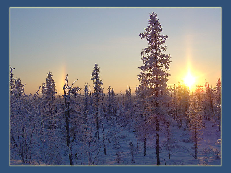 photo "***" tags: landscape, forest, winter