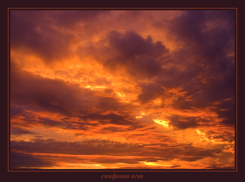 photo "The symphony of fire" tags: nature, 