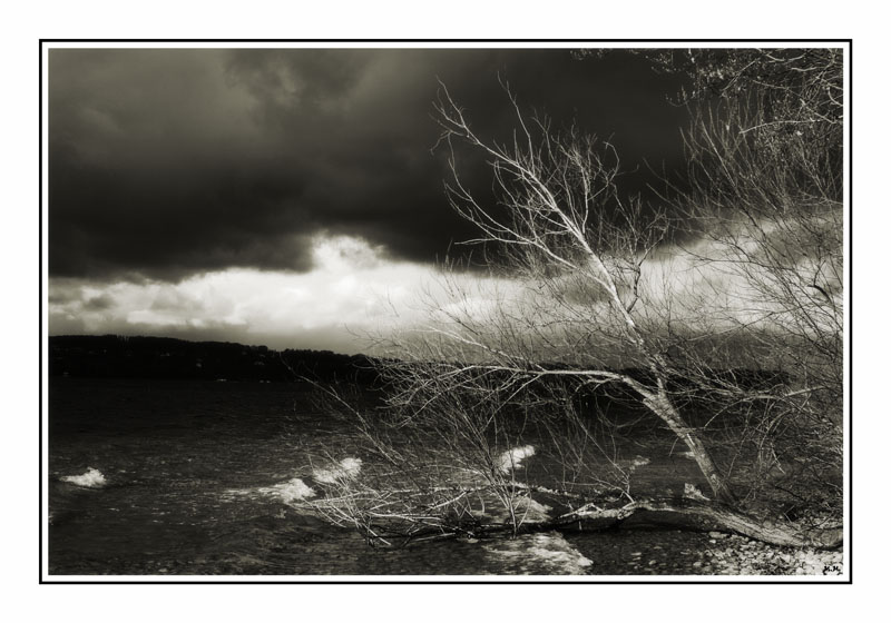 фото "winter storm" метки: пейзаж, зима