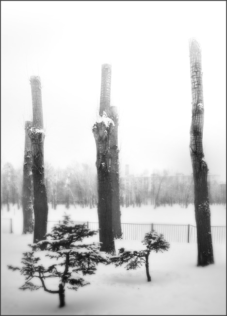 photo "***" tags: misc., black&white, 