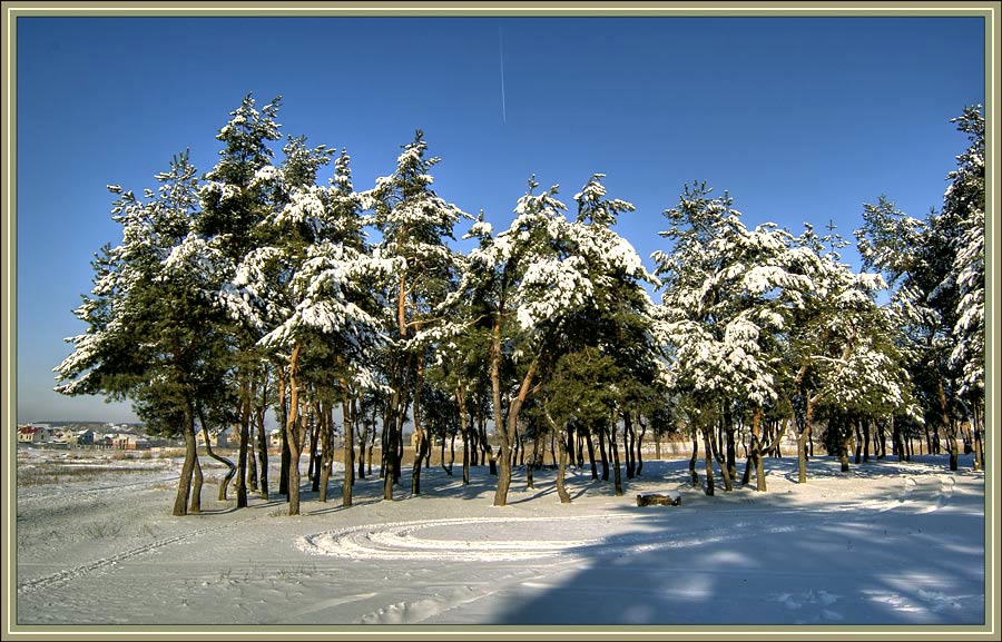 photo "in February" tags: landscape, winter
