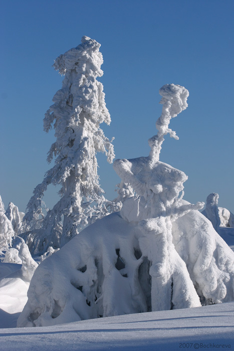 photo "***" tags: landscape, winter