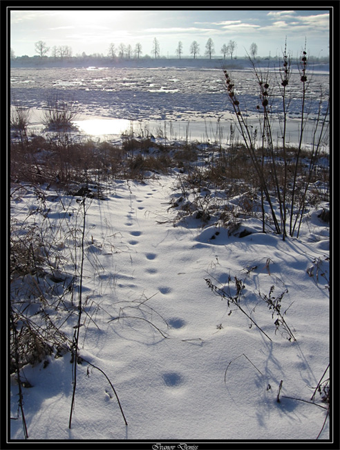 photo "***" tags: landscape, sunset, winter
