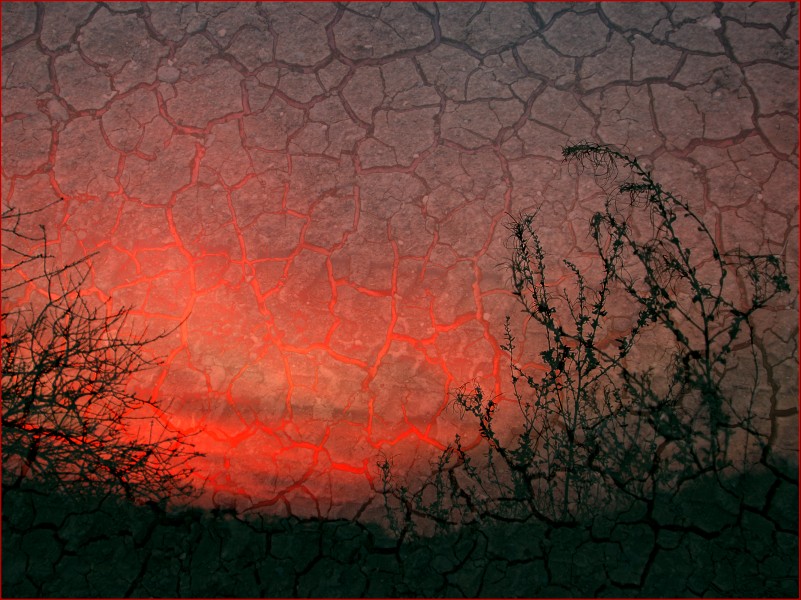 фото "Dry sky" метки: , 