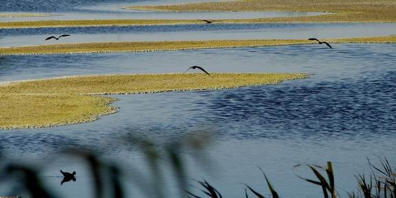 фото "romania" метки: пейзаж, вода, закат